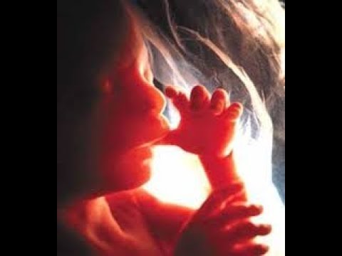 لايف ستايلشاهد: ماذا يحدث للجنين خلال مراحل نموه91861/0