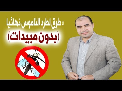 لايف ستايلشاهد:5 طرق فعّالة لطرد الناموس92408/0