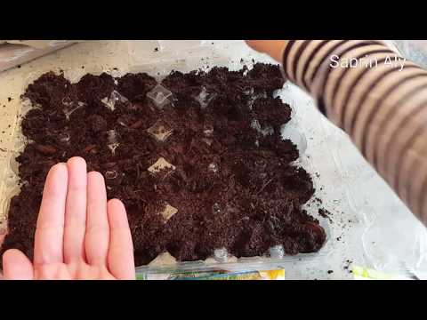 لايف ستايلشاهد: طُرق إعادة تدوير كرتون البيض92773/0