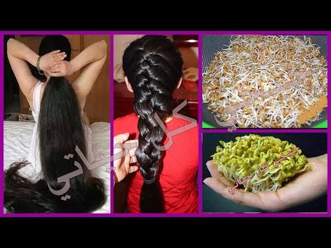 لايف ستايلشاهد : تركيبه سحرية تطيل الشعر وتجلي العين93092/0