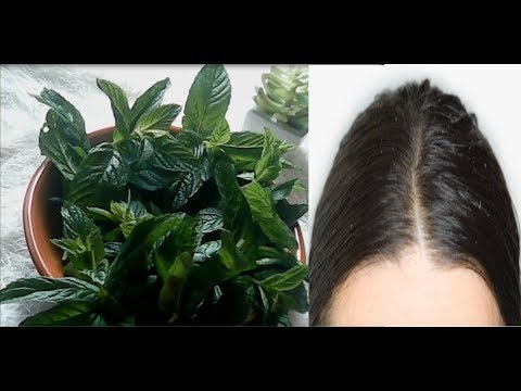 لايف ستايلشاهد: طريقة للتخلص من مشاكل الشعر المزعجة93396/0