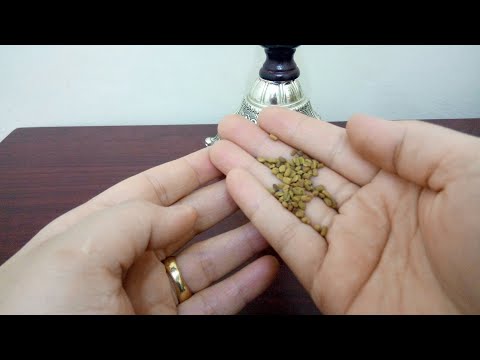 لايف ستايلشاهد :فوائد البذور لطرد السموم من الجسم93925/0