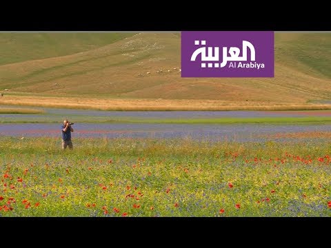 لايف ستايلشاهد: مهرجان لأصحاب الشعر الأحمر فقط في روسيا101884/0