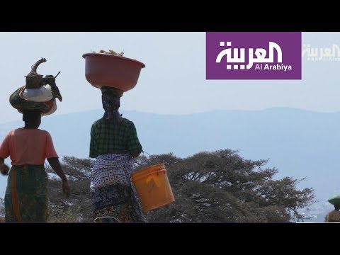 لايف ستايلشاهد: النساء تُشارك الرجال في البناء والزراعة في تنزانيا116389/0