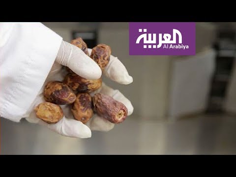 لايف ستايلشاهد: استخدامات طبية غير متوقعة للتمر في الأحساء124259/0