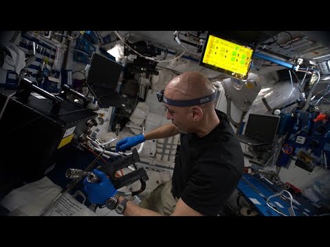 لايف ستايلشاهد: تطبيق ذكي للحمية الغذائية وعلاقة الجاذبية بالوقت في "سلسلة الفضاء"143290/0