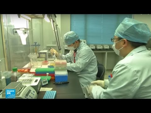 لايف ستايلشاهد: الباحثون الصينيون ينجحون في عزل فيروس "كورونا"161486/0