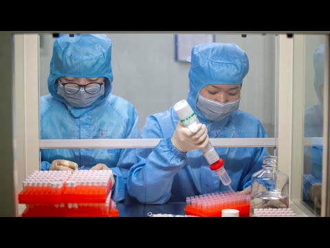 لايف ستايلشاهد: الإمارات تعلن عن أول إصابة بفيروس "كورونا"161487/0