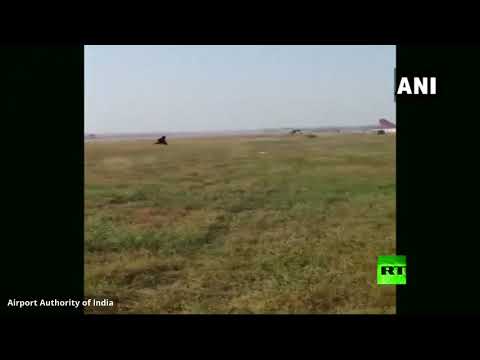 لايف ستايلشاهد: مطار في الهند يلجأ لطريقة طريفة تبعد القرود عن مدرج الطائرات163422/0