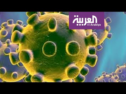 لايف ستايلشاهد: هل تفيد مضادات الأكسدة في الوقاية من "كورونا"؟169095/0