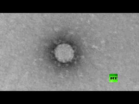 لايف ستايلشاهد: تعرّف على خصائص فيروس كورونا تحت المهجر169432/0