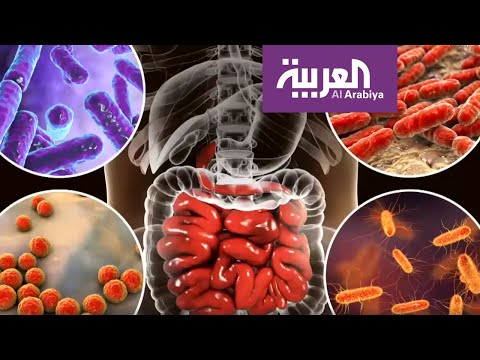 لايف ستايلشاهد: بكتيريا الأمعاء تساعد في تعزيز الجهاز المناعي ضد السرطان170141/0