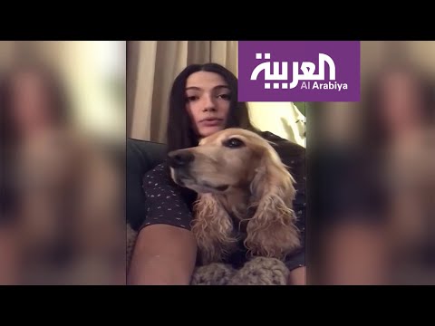 لايف ستايلشاهد: نجوم مصر يطلقون حملة دفاعا عن الحيوانات الأليفة ضد "كورونا"171341/0