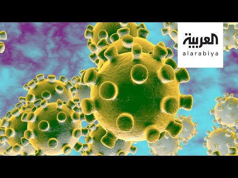 لايف ستايلشاهد: 5 عناصر تحدد موعد انتهاء "كورونا" في العالم176666/0