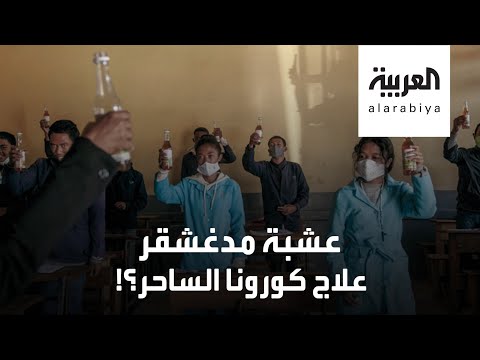 لايف ستايلشاهد: عشبة مدغشقر.. علاج "كورونا" الساحر؟!178702/0