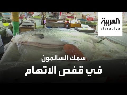 لايف ستايلشاهد: هل "سمك السلمون" بريء من تهمة عودة "كورونا"؟184241/0