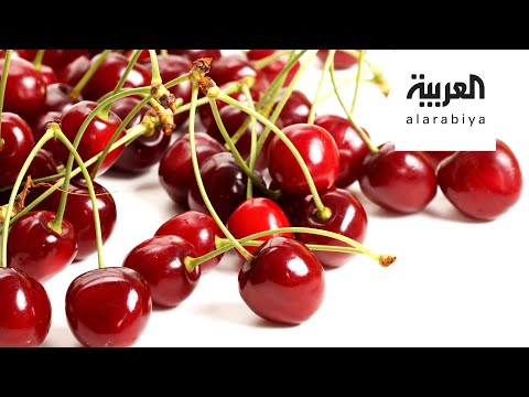 لايف ستايلشاهد: حارب الشيخوخة بالكرز الأفضل في فصل الصيف184657/0