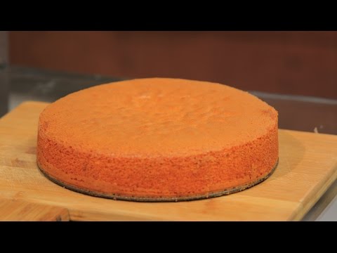 لايف ستايلكيكة السميد17404/0