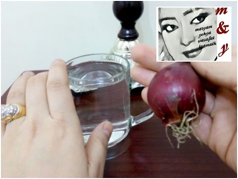 لايف ستايلوصفة جديدة للتخلص من الوزن الزائد بواسطة "البصل"19599/0