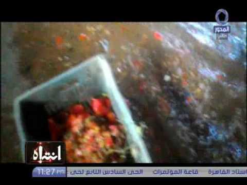 لايف ستايلجودة الطماطم التي تدخل في صناعة الكاتشب19648/0