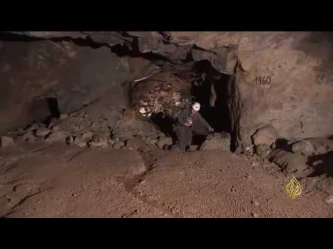 لايف ستايلشاهد: بلدة تشيكية على موعد مع الازدهار39692/0