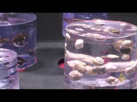 لايف ستايلشاهد: تدشين متحف داخل محطة مترو في روما39694/0