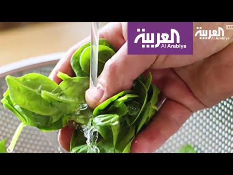 شاهد كيفية تفادي التسمم الغذائي في فصل الصيف