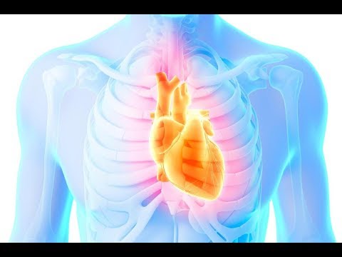 شاهد 10 إنذارات يطلقها الجسم قبل الإصابة بالأزمة القلبية