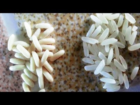 شاهد تحذير من الأرز البلاستيكي