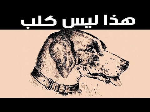 6 خدع بصرية غامضة ستذهل منها