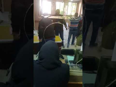 شاهد خناقة حريمي داخل مصلحة حكومية في الإسكندرية​