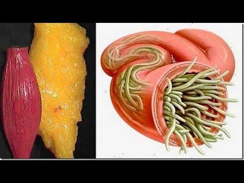 شاهد تخلصي من كل الدهون  مع الليمون والكرفس