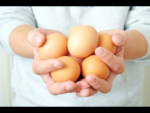 شاهد بُشرى سارة لعُشاق البيض يمكنك تناول ٣ منها في اليوم