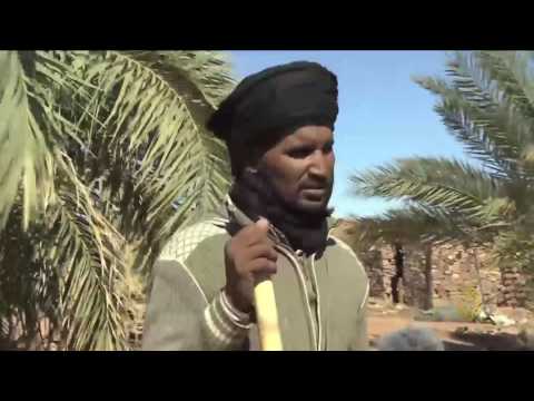 بالفيديو  جولة في منطقة أدرار شمال موريتانيا