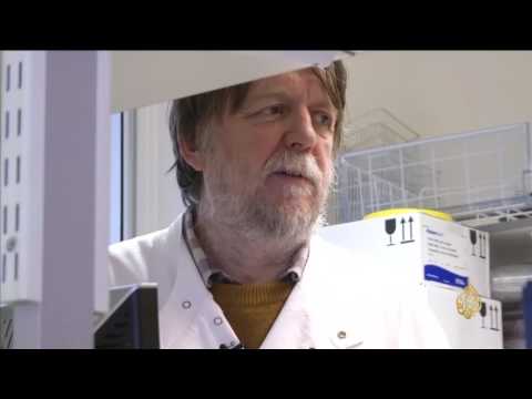 ضرب الكرة بالرأس يعرض اللاعبين للخطر