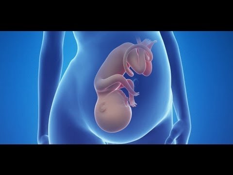 شاهد ماذا يحدث للجنين عند الجماع والماء حوله ناقص